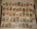 49 x wills s Cigarette cards War Incidents. Click for more information...