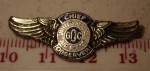 USAF wing badge Chief observer. Click for more information...