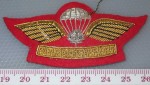 3700 Bullion wire Para Rigger cloth patch. Click for more information...