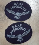 3892 7 x Raaf cloth insignia green and blue. Click for more information...